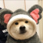 yy