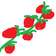 Tomatoes