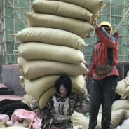 水泥一晚可以吗