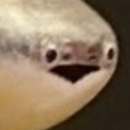 11시 요정 편돌이