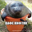 фух убил
