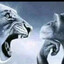 diswolf