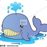 鲸鱼鲸鱼