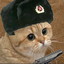 Soviet Cat
