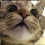 fiskeater avatar