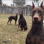 幼儿园抢饭第一名