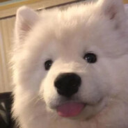 理塘最強伝說と絕兇の猛虎!純真丁一郎です