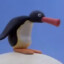 Noot Noot