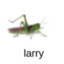 larry