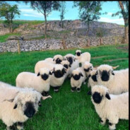 сын миража Sk1Ler