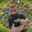 jeff_williams2010 clash of clan