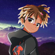 StewieB0B