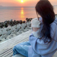 早知当初不下凡