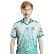 Player avatar