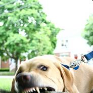 annebae - steam id 76561197965549616