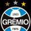 GREMIO FBPA | Vox