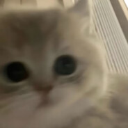 死顾客催催催催什么催