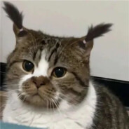 许多多跟花不完