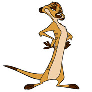 ArezzzFlo[PL] - steam id 76561199821592301