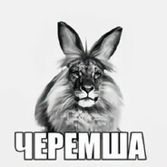третий вайпер - steam id 76561198891797772