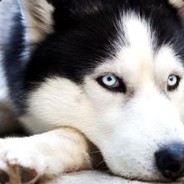 呀！土豆11111111