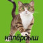 НАПЁРДЫШ