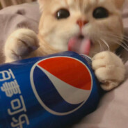 Eʟɪᴀᴜᴋ.可乐