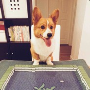 只有封号才可以击败我