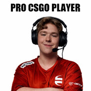 Ｅｇｇｉｓ１３３７'s Steam avatar