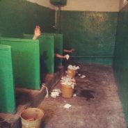 я у мамы авапер