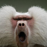 Валера Напас