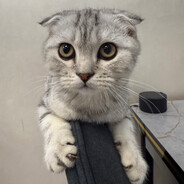 ALASH - steam id 76561199094905950