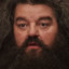 HolyHagrid