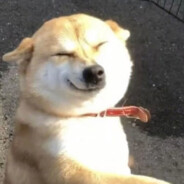 戴珍珠耳环的玛卡巴卡