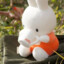 miffymode