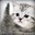 MrFluffy