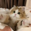 轮火