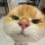 julyy Steam avatar