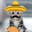 Señor Gato