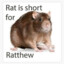 Ratthew