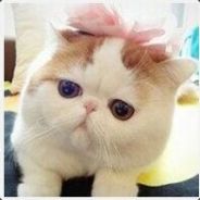 ☣G(つˉ 3ˉ)づ❉Snow❉