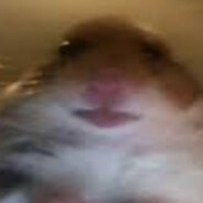 Мистер Гнида