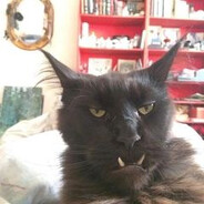 𝓆𝓆𝓆 - steam id 76561199534697145