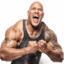 Le biceps de The Rock