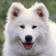 MANI-2002 avatar