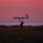 人生的意义就是TM去复制器整点大电