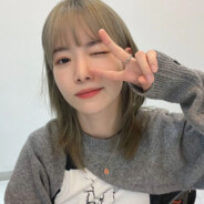 我是可爱又懒惰的猫