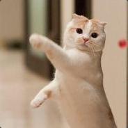 继续输，不要停!