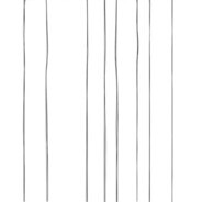 游戏管家年度用户