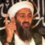 Osama Bin Babi